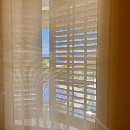 Sunandbed Cyes